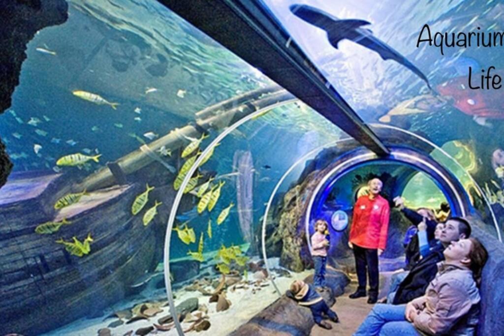 Studio 2 Adultes 2 Enfants Parcs Disneyland Paris Montévrain Eksteriør bilde